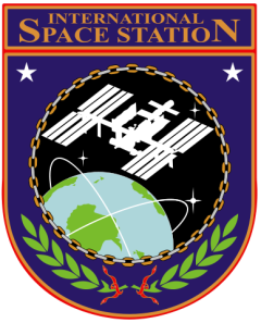 "ISS insignia" disponible bajo la licencia Dominio público vía Wikimedia Commons